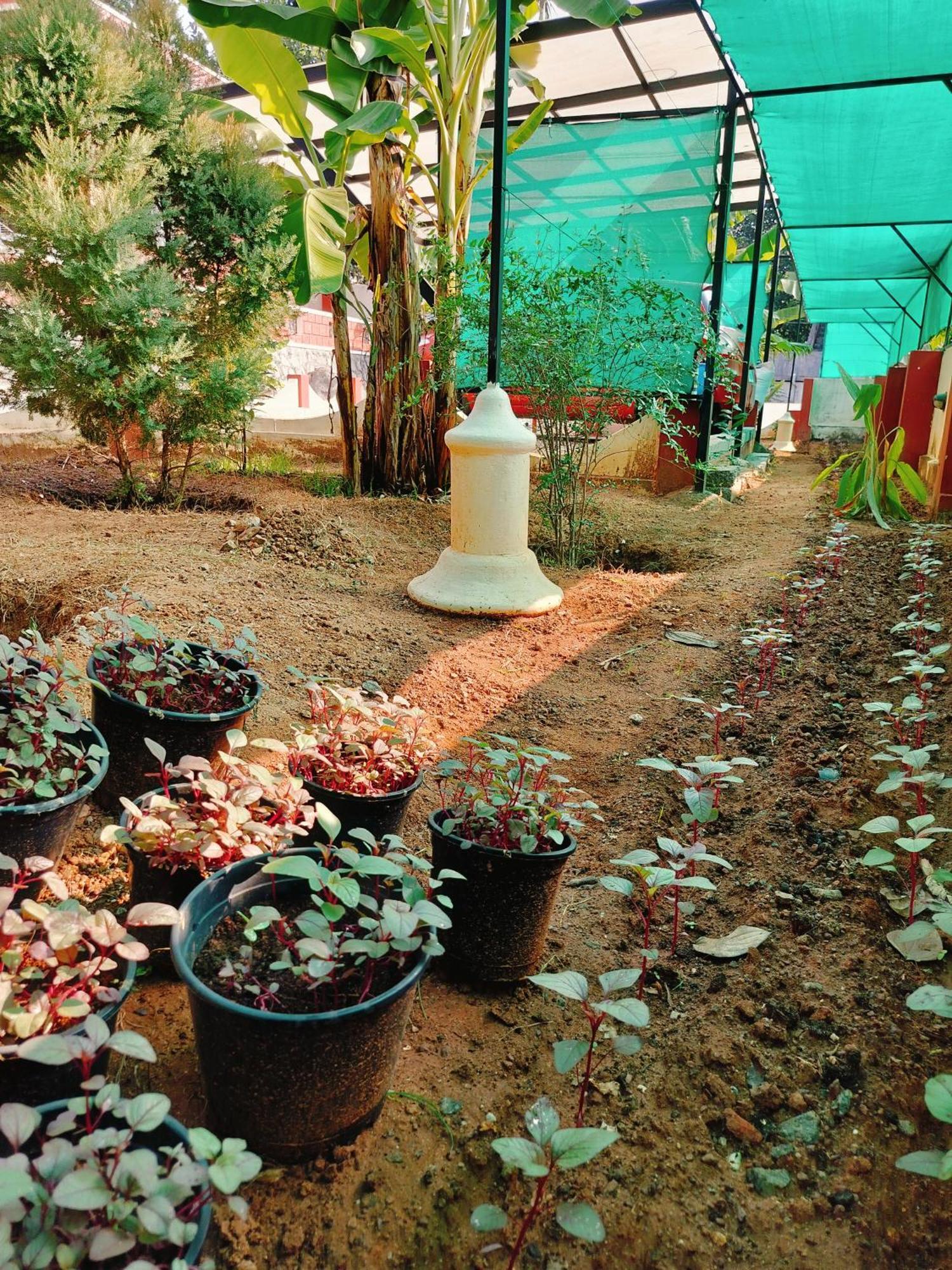 The Ixora - A Boutique Homestay วาร์คาลา ภายนอก รูปภาพ