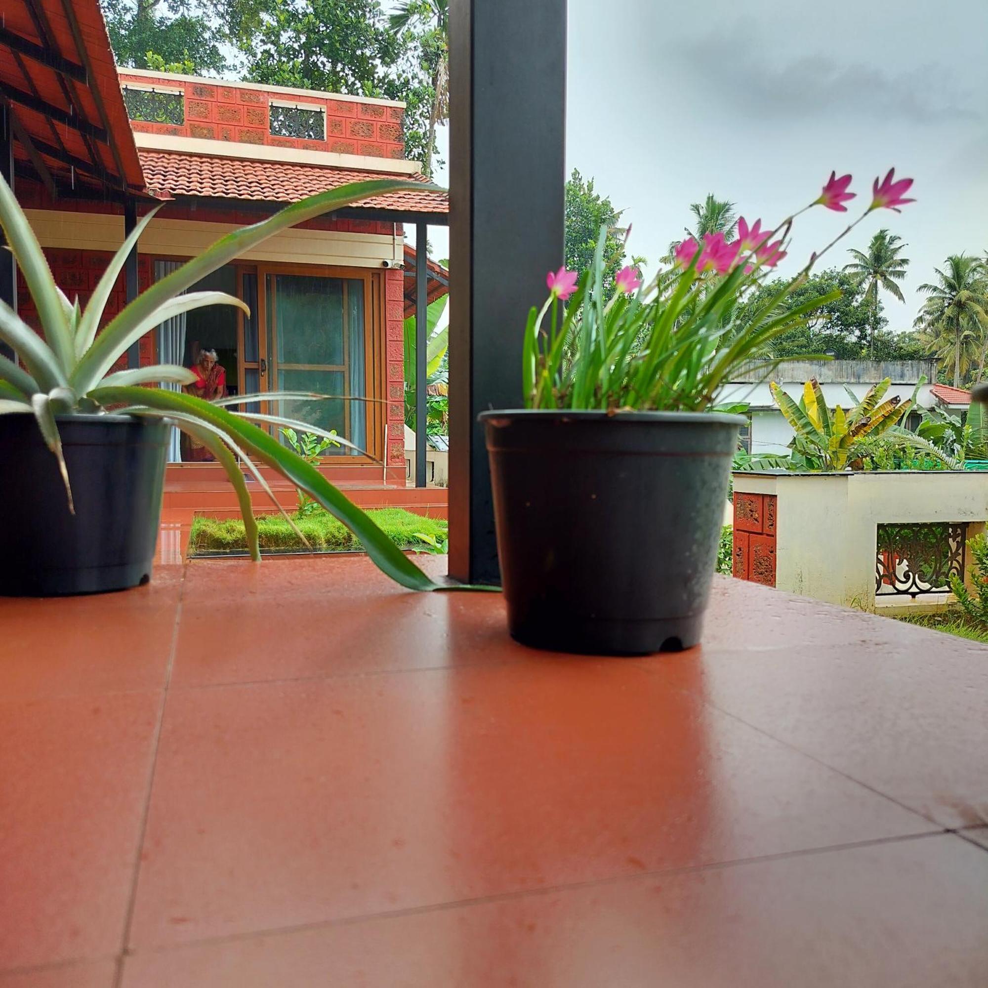 The Ixora - A Boutique Homestay วาร์คาลา ภายนอก รูปภาพ