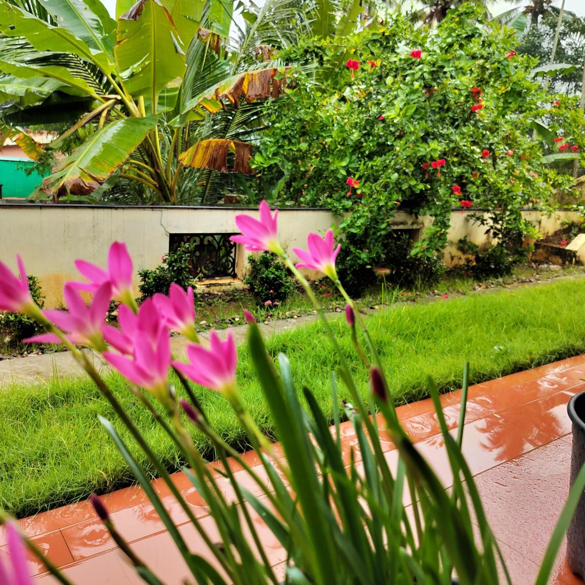 The Ixora - A Boutique Homestay วาร์คาลา ภายนอก รูปภาพ