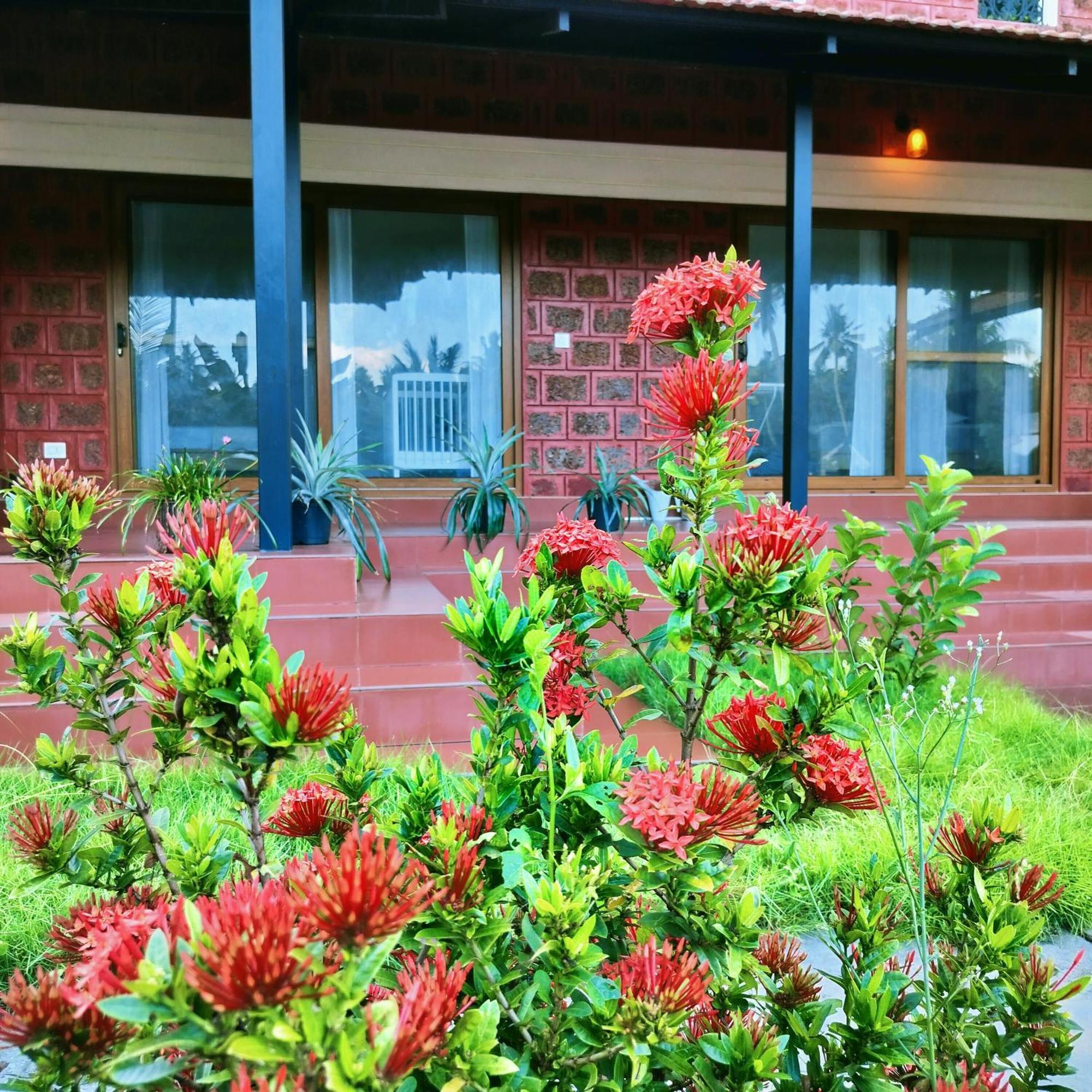 The Ixora - A Boutique Homestay วาร์คาลา ภายนอก รูปภาพ